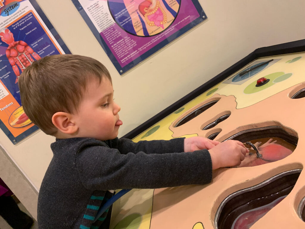 child playing with lifesized Operation game at the Bucks County Children's Museum