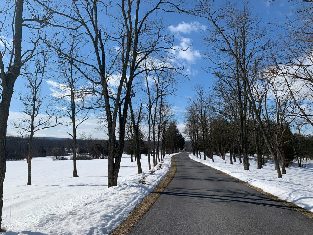 cleared path with bare trees and snow on either side 