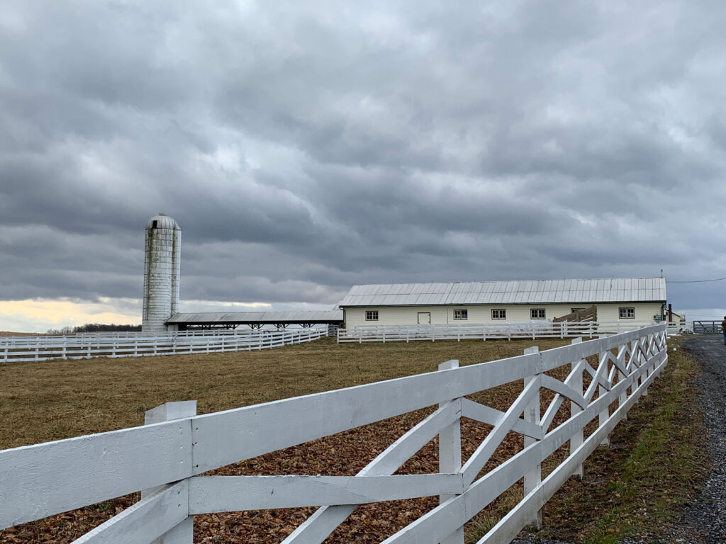 View of the cattle field with large white barn and silo in the background at Eisenhower National Historic Site