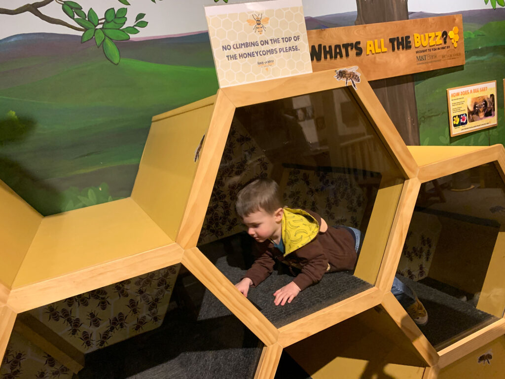 child climbing through a honeycomb-shaped play area