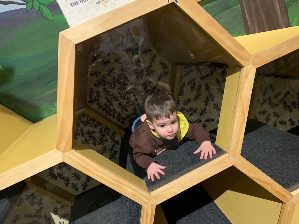 child climbing through a honeycomb-shaped play area