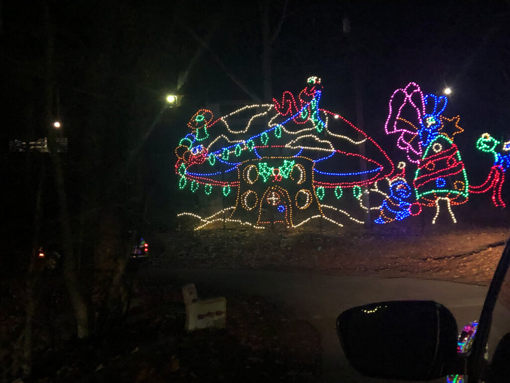Christmas lights in the shape of a mushroom with bugs crawling around on it in an enchanted forest