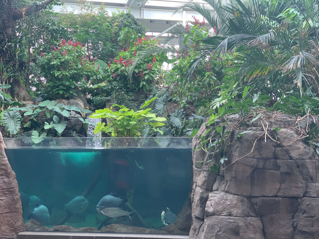 fish tank and tropical scenery at the PPG Aquarium