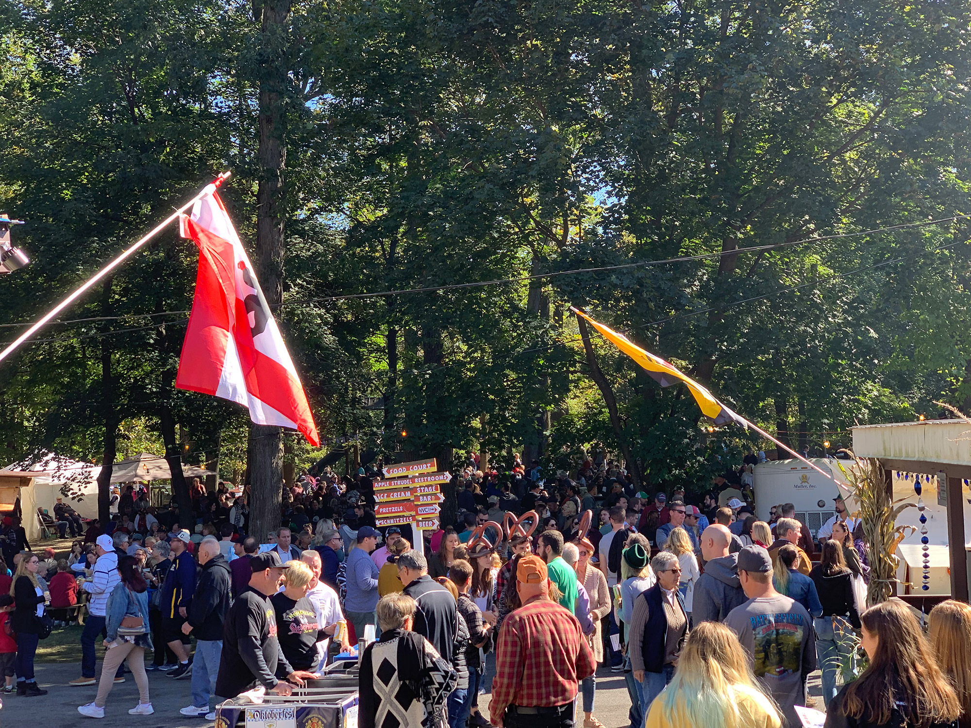 large crowd walking past flags from various German states