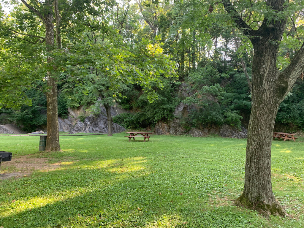 lone bench between a pair of trees in front of a rock face at Stonecliffe Park in Reading, PA