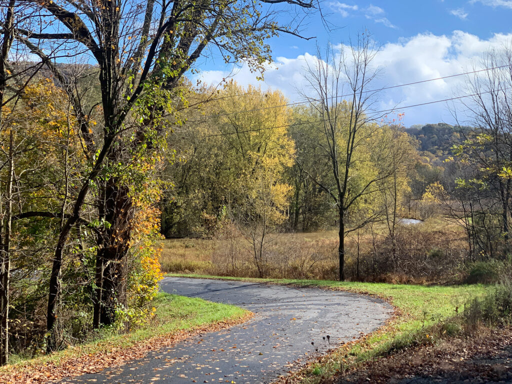 One-lane road surrounded by foliage-filled trees near Kempton, PA