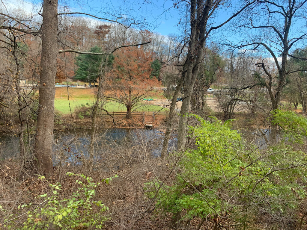 creek lined with trees in various fall colors