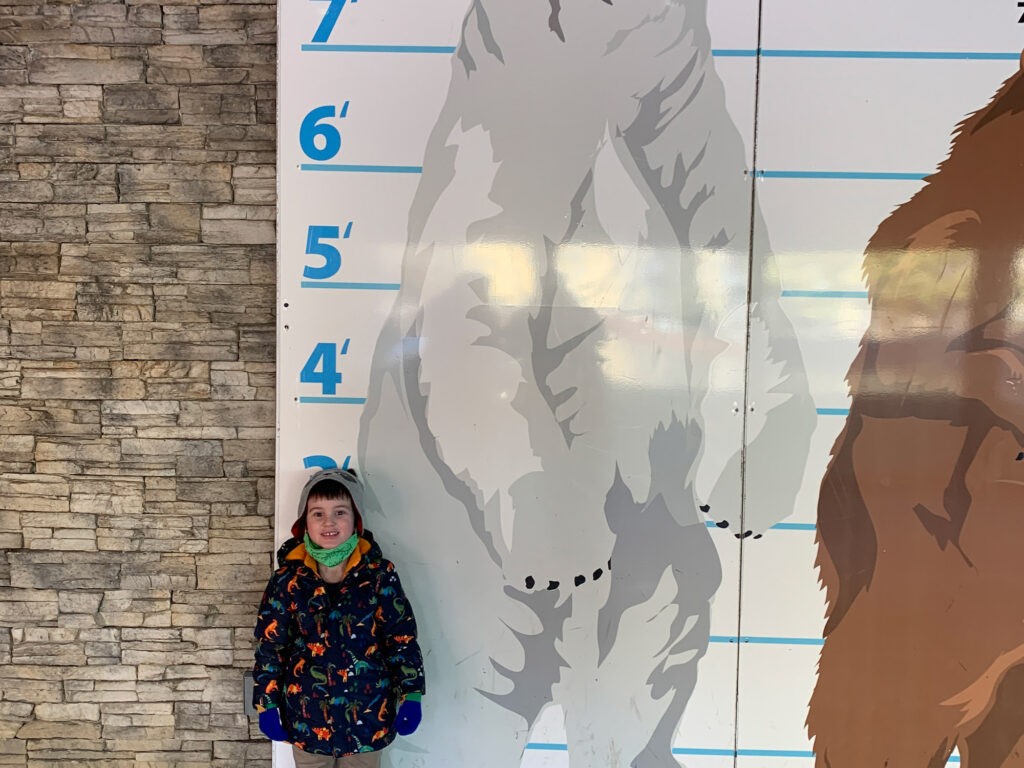 child stands next to a sign showing the height of various bears