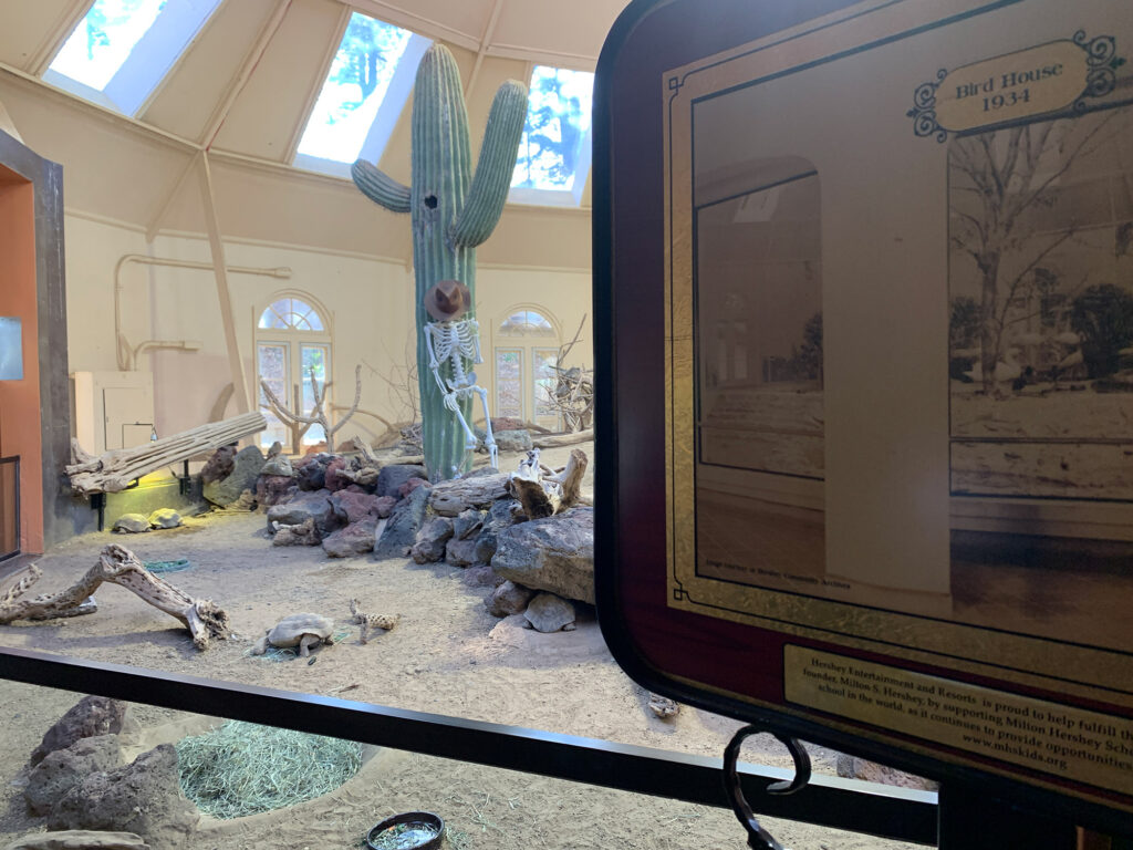 Cactus and desert scene inside the Bird House at Zoo America in Hershey, PA