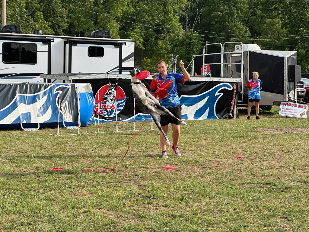 dog leaps to catch a red frisbee from a female trainer