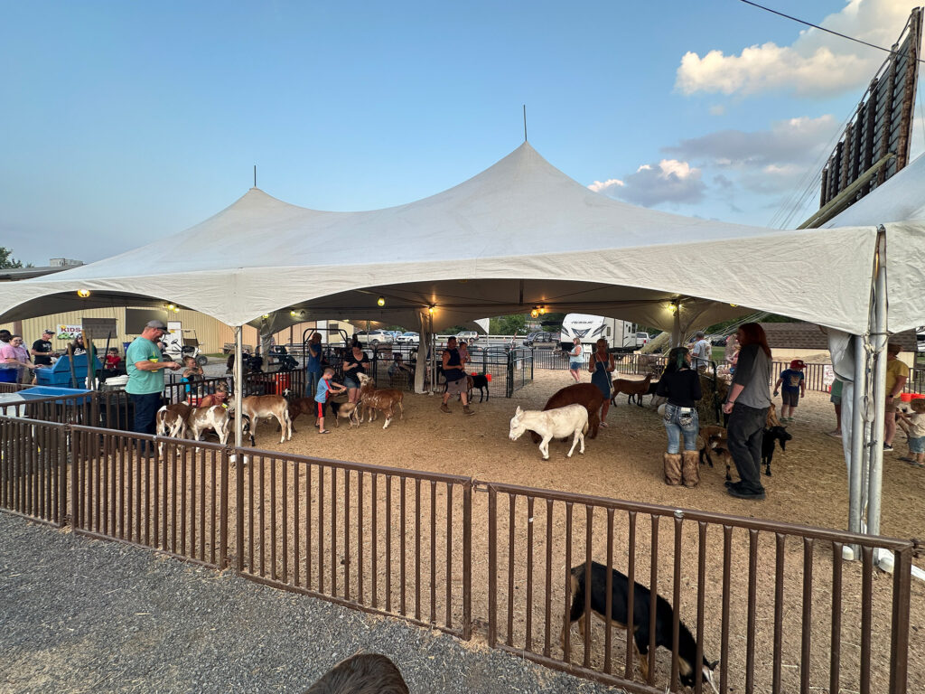 Petting zoo filled with people and animals like goats and sheep