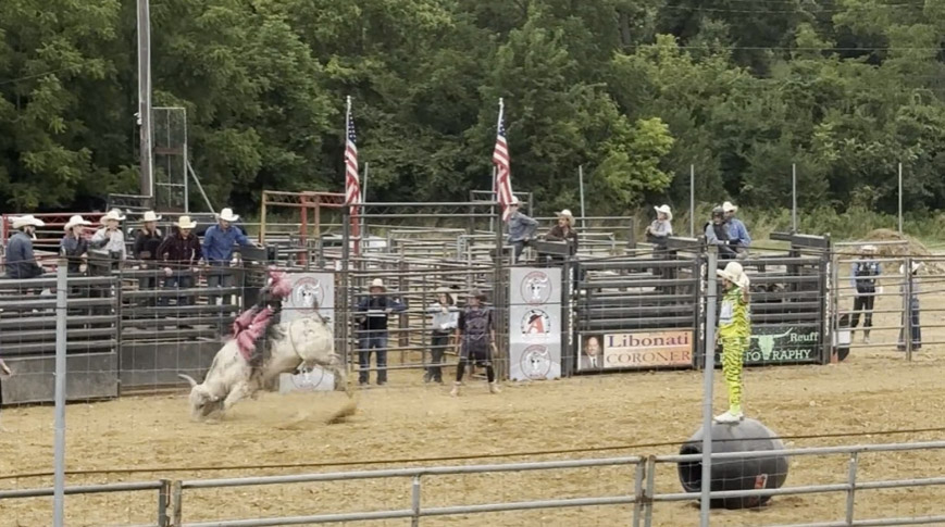 bullriding at the Berks County Fair