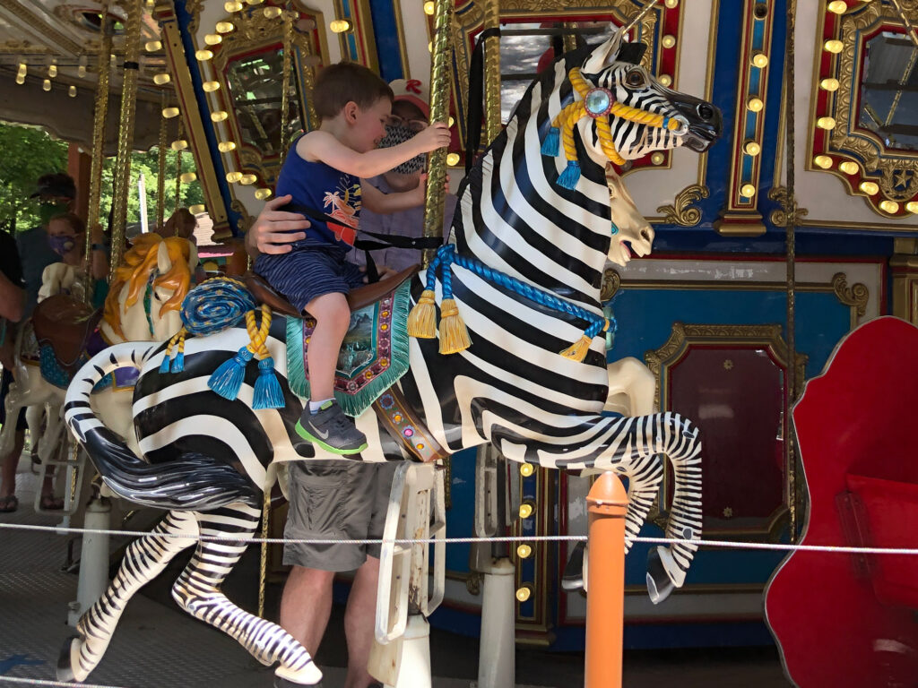 young boy riding on a zebra on a carousel