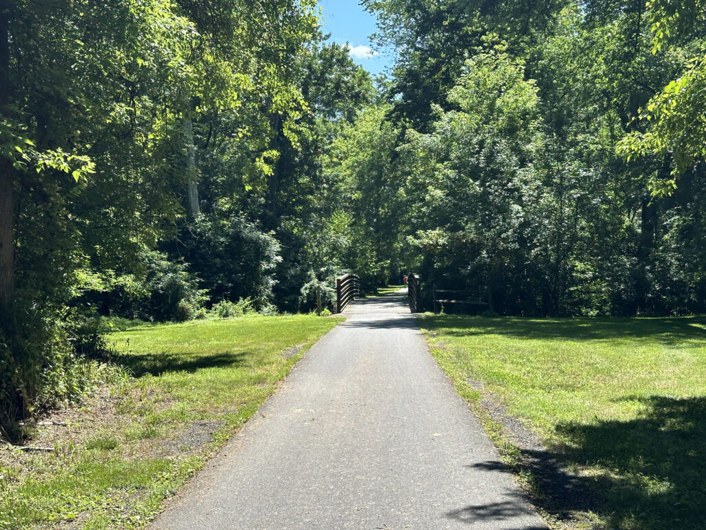 bike trail entering into a grove of trees