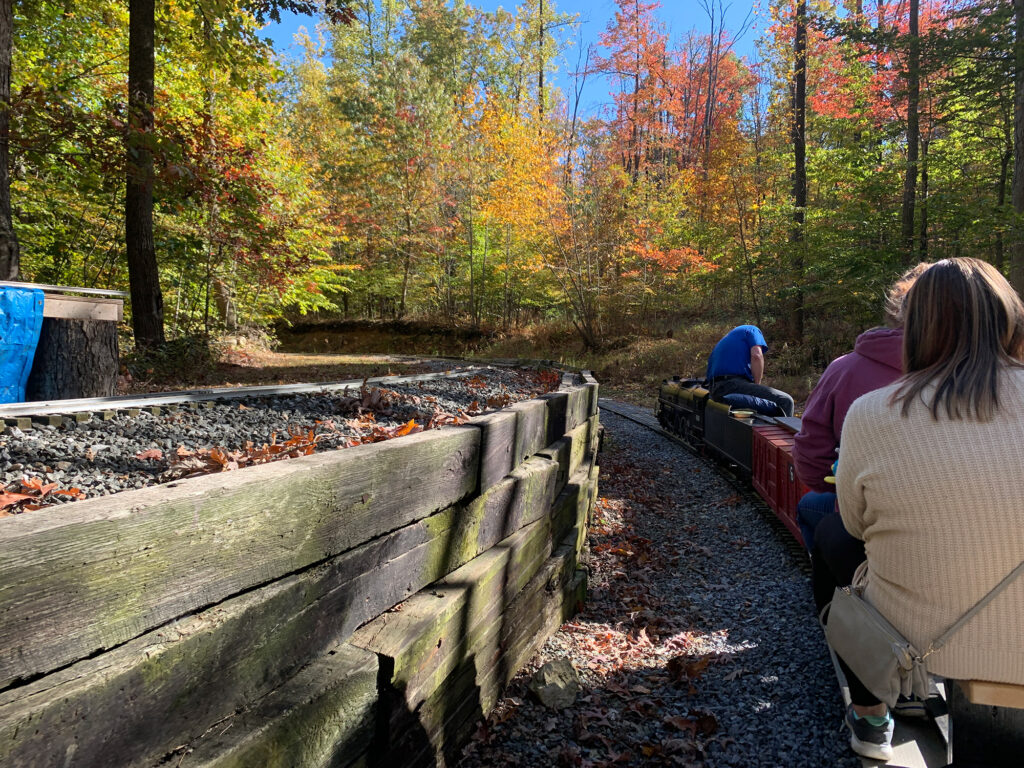 people riding on a scale model train through the trees at the Reading Society of Model Engineers