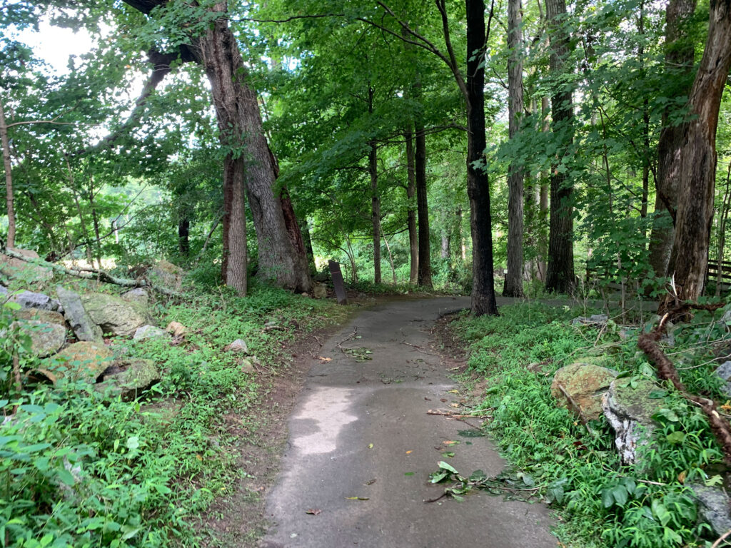 nature trail with greenery on both sides and tree cover at Springton Manor Farm