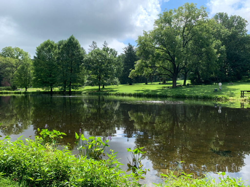 pond at Springton Manor Farm