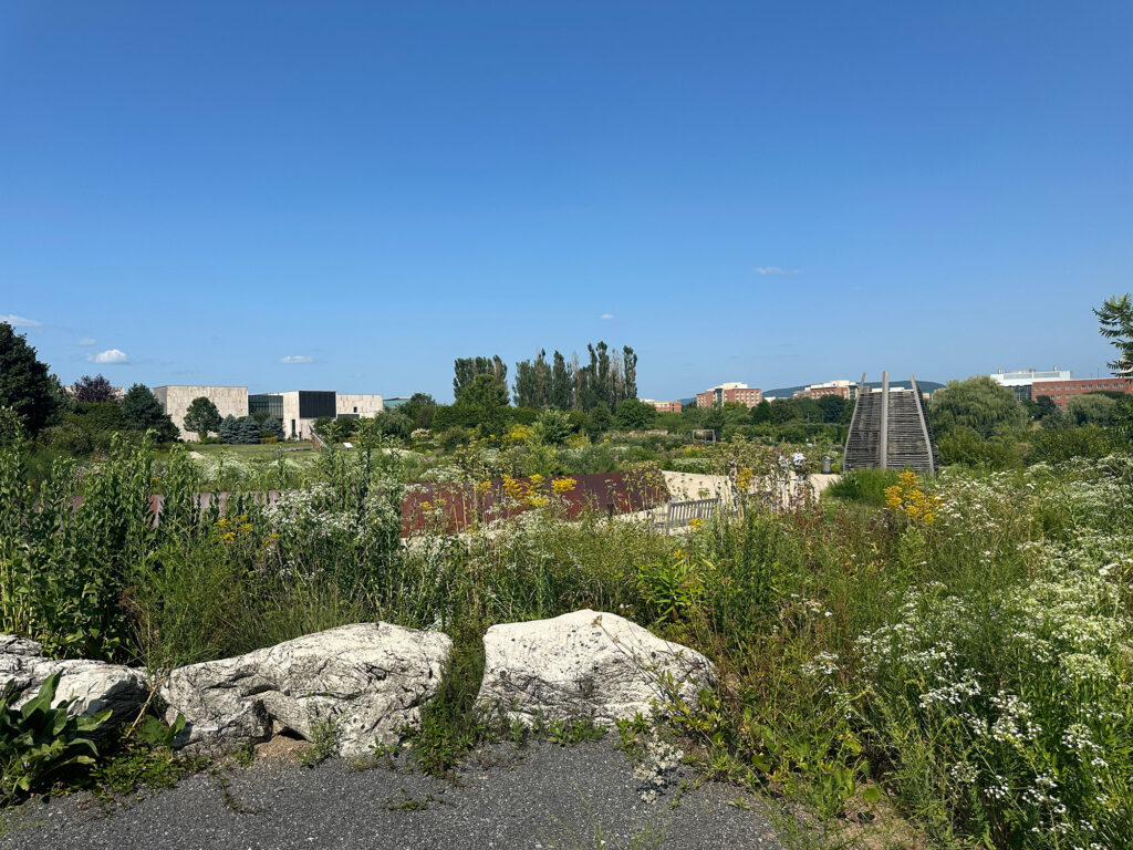 rock and plants at the Arboretum at Penn State