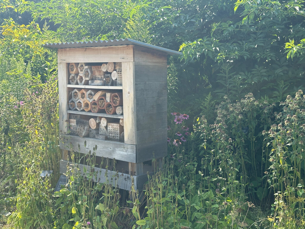 bee hotel at the Arboretum at Penn State