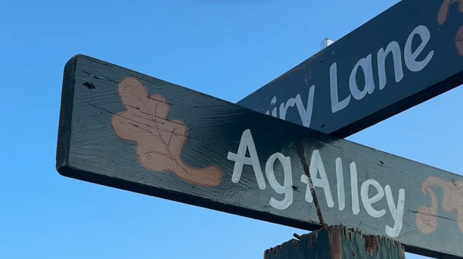 two wooden signs crossing to look like street signs, the one facing the camera reads "Ag Alley"