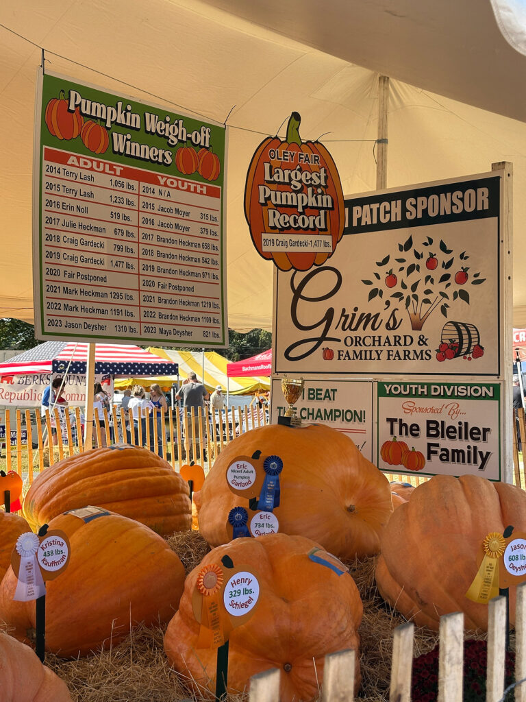giant pumpkins with small circles denoting weights between 300 and 800 pounds