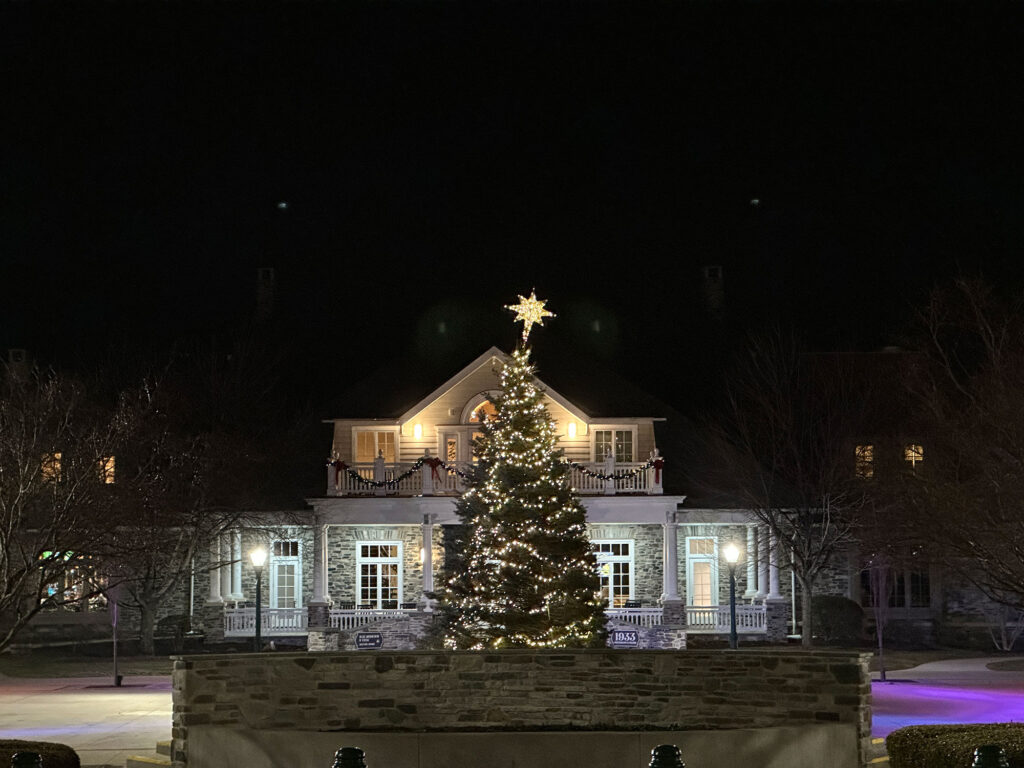 Large Christmas tree in front of a white building lit by spotlights against a black sky