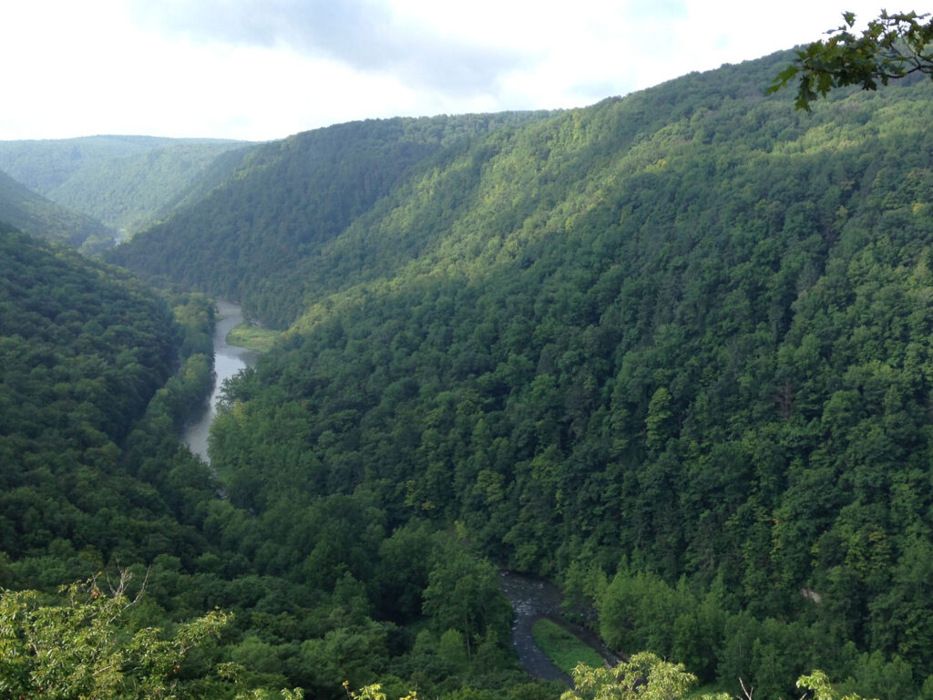 view of a green valley with a small creek running through it from Leonard Harrison State Park in Pennsylvania