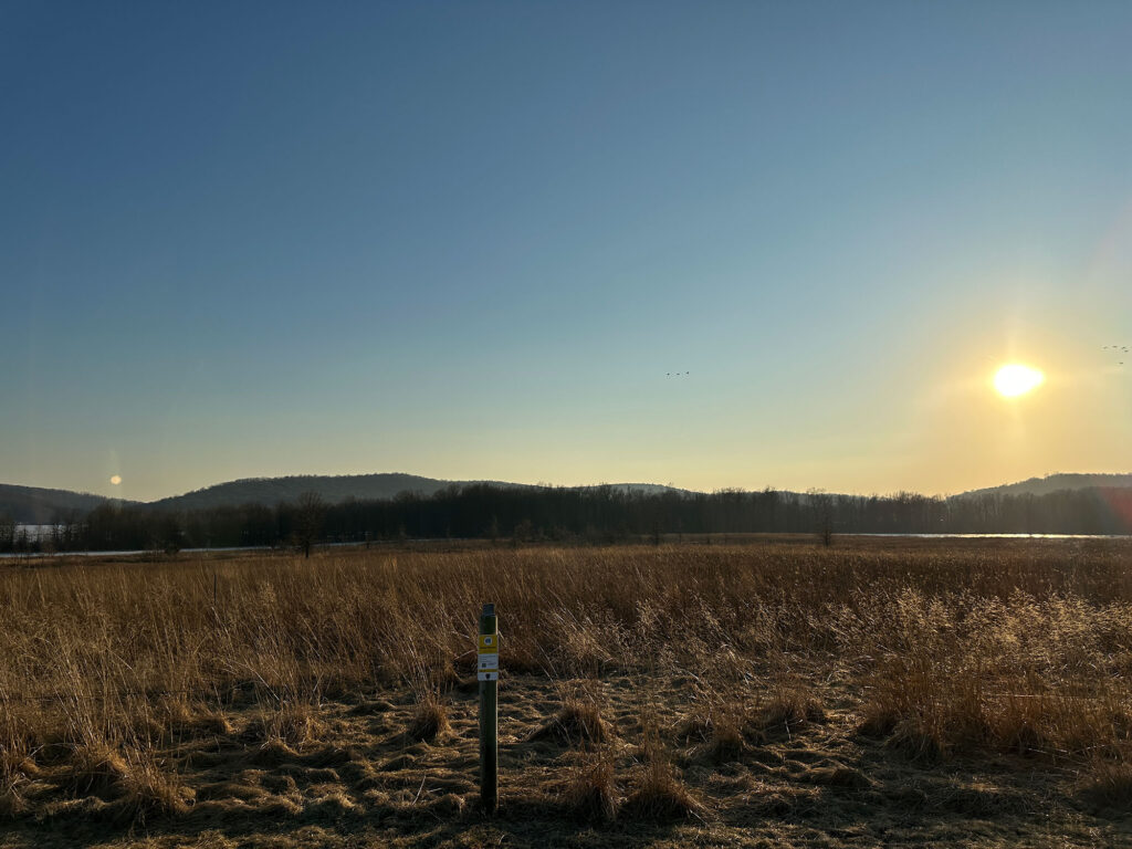 meadow at Middle Creek Wildlife Management Area with the sun sinking low above the horizon